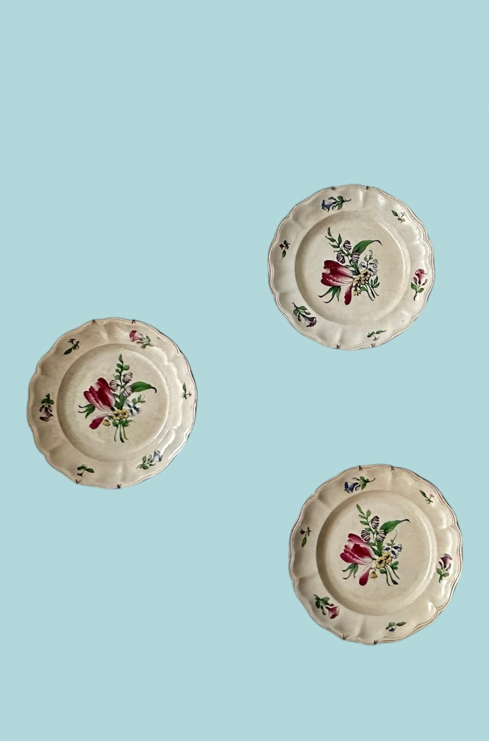 Les Tulipes - Assiettes murales ( X7 )