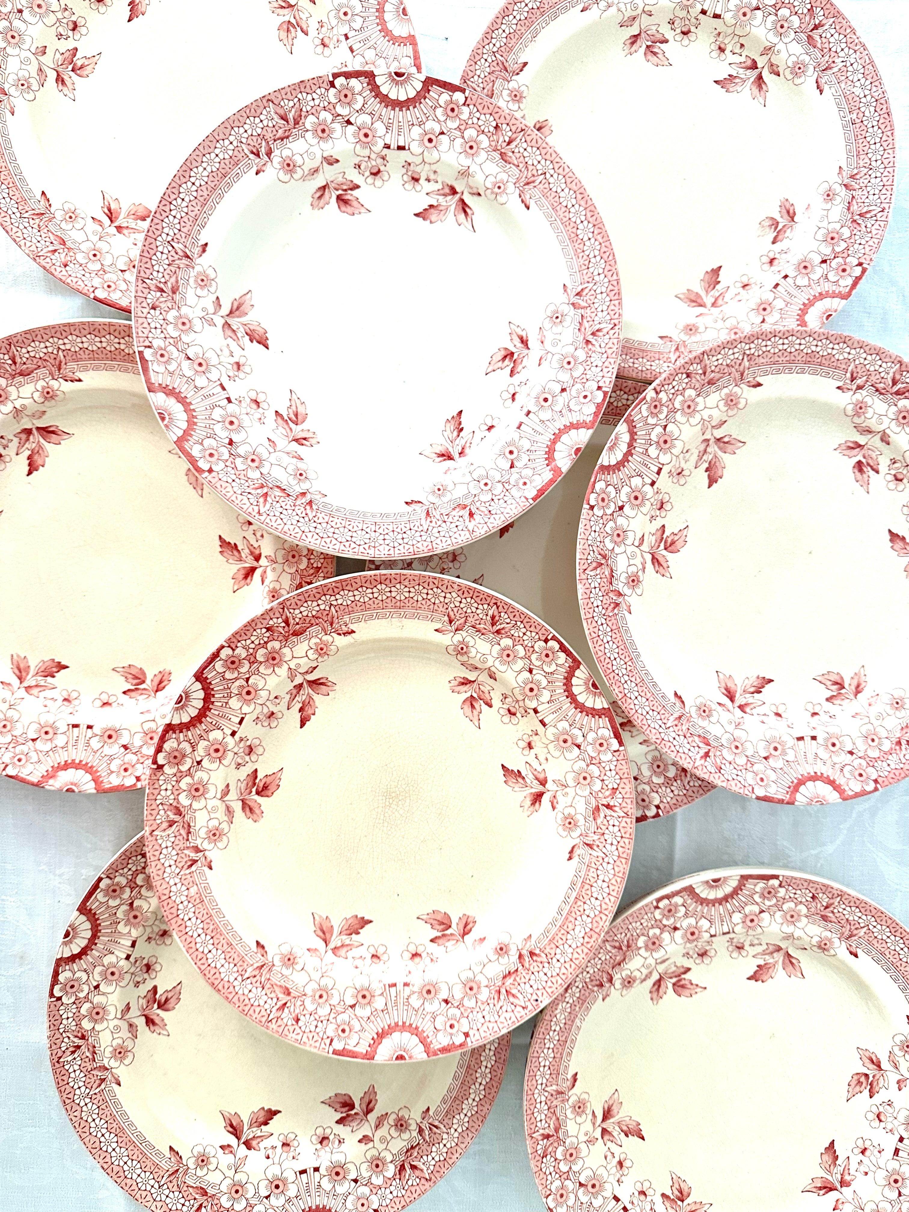 Assiettes plates Terre de fer Fleury ( x12 )