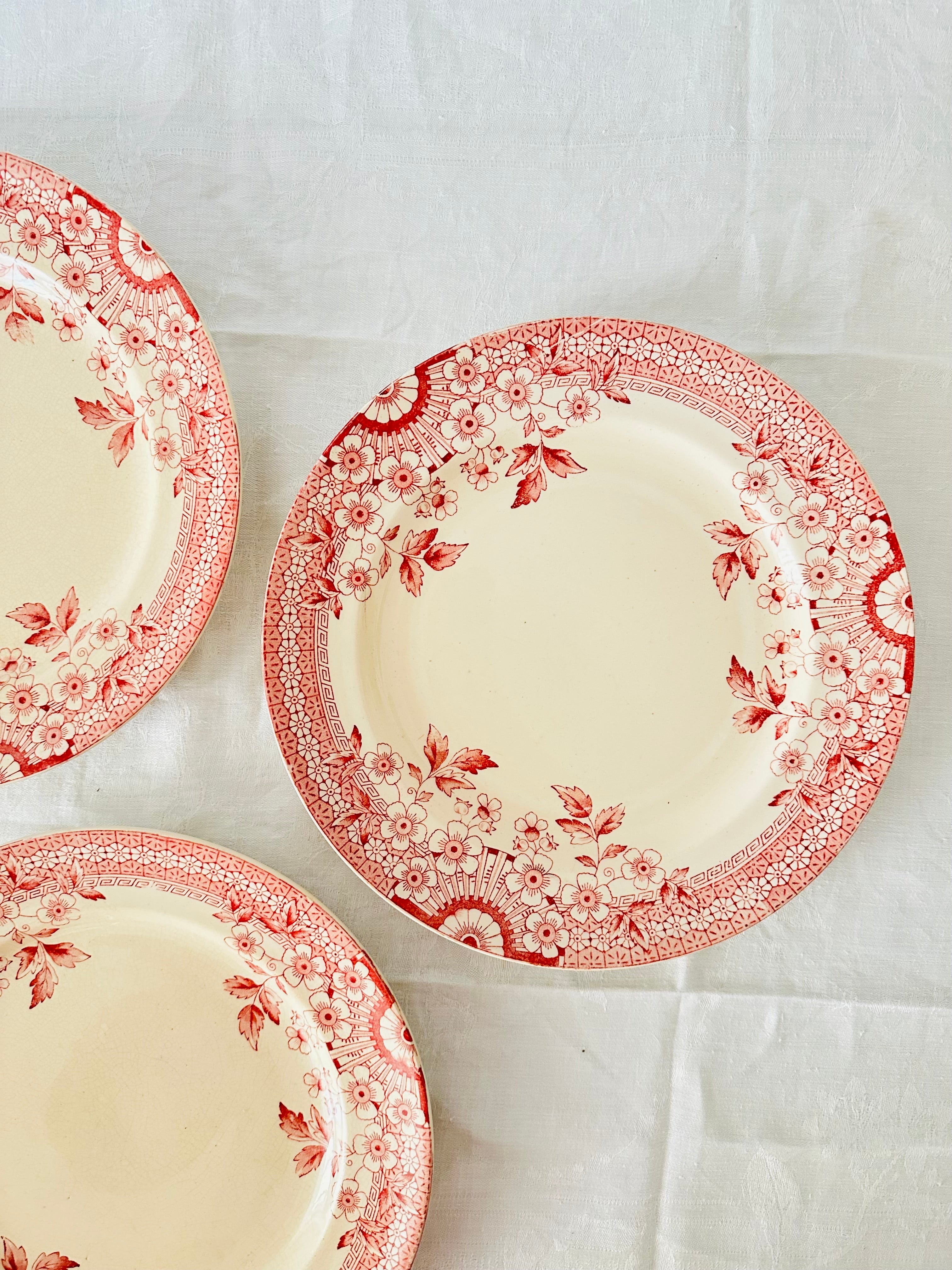 Assiettes plates Terre de fer Fleury ( x12 )